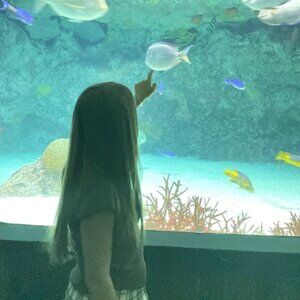 Meet your Posher, Nell